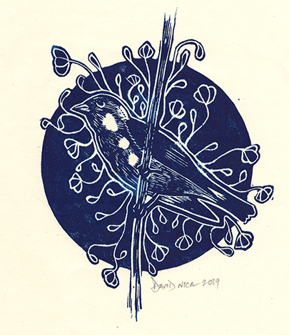 Aderyn Bach lino cut print by David Nicol