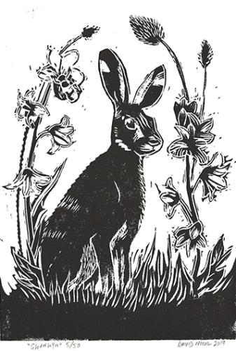 Gwanwyn lino cut print by David Nicol